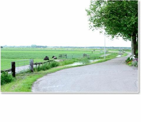 Rise & Shine Villa Katwoude ภายนอก รูปภาพ