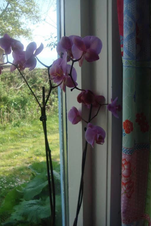 Rise & Shine Villa Katwoude ภายนอก รูปภาพ